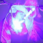 3000mWのレーザーポインター ビデオ殺虫試験